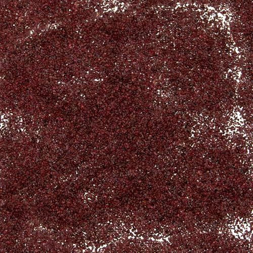 Palm Beach Medicinal Herbs - Bilberry (Vaccinium myrtillus) - Packet of 30 Seeds