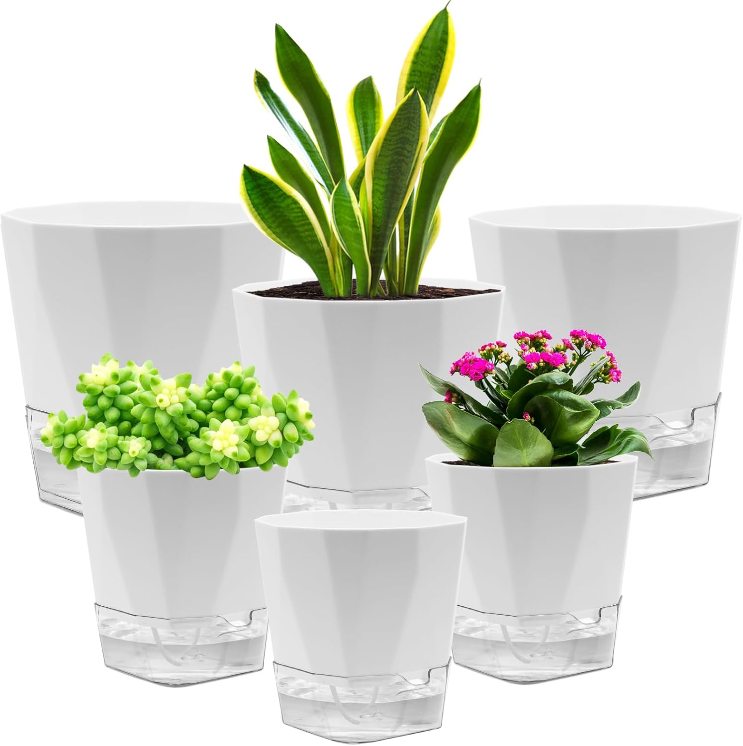 6-Pack Self-Watering Plant Pot — 6.6/5 Inches Plastic Self-Watering Pots for Indoor Outdoor Plants African Violet Pots — Easy Plant Self-Watering Pot with Wick Rope for Plants Flowers