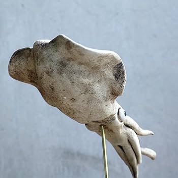 Amazon.co.jp: 海洋生物 アニマル アート オブジェ イカ いか
