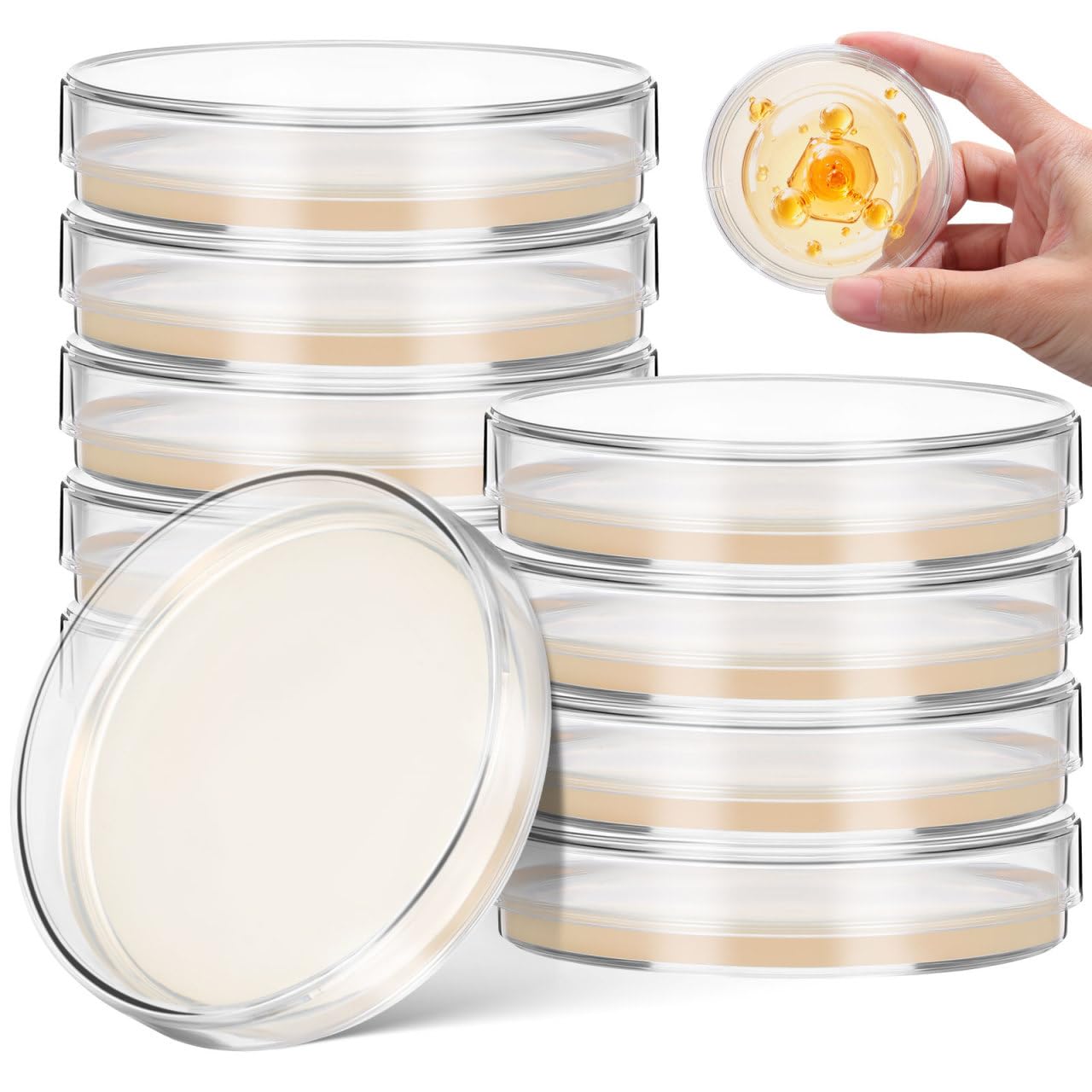 POPETPOP 10 Pcs Prepoured Agar Petri Dishes, 7 CM Nutrient Agar Petri Dishes Science Project Kit for Science Experiments, Bacteria and Microbial Cultivation