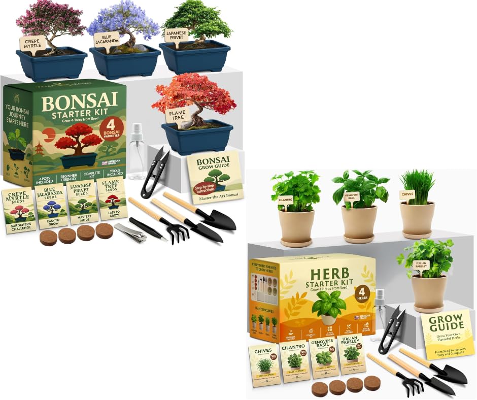 HOME GROWN Bonsai Tree Starter Kit – Unique Christmas Gift for Adults, Men, Women - Grow 4 Bonsais & HOME GROWN Herb Garden Planter Indoor Kit – Unique Christmas Gift for Adults, Men, & Women - Grow 4