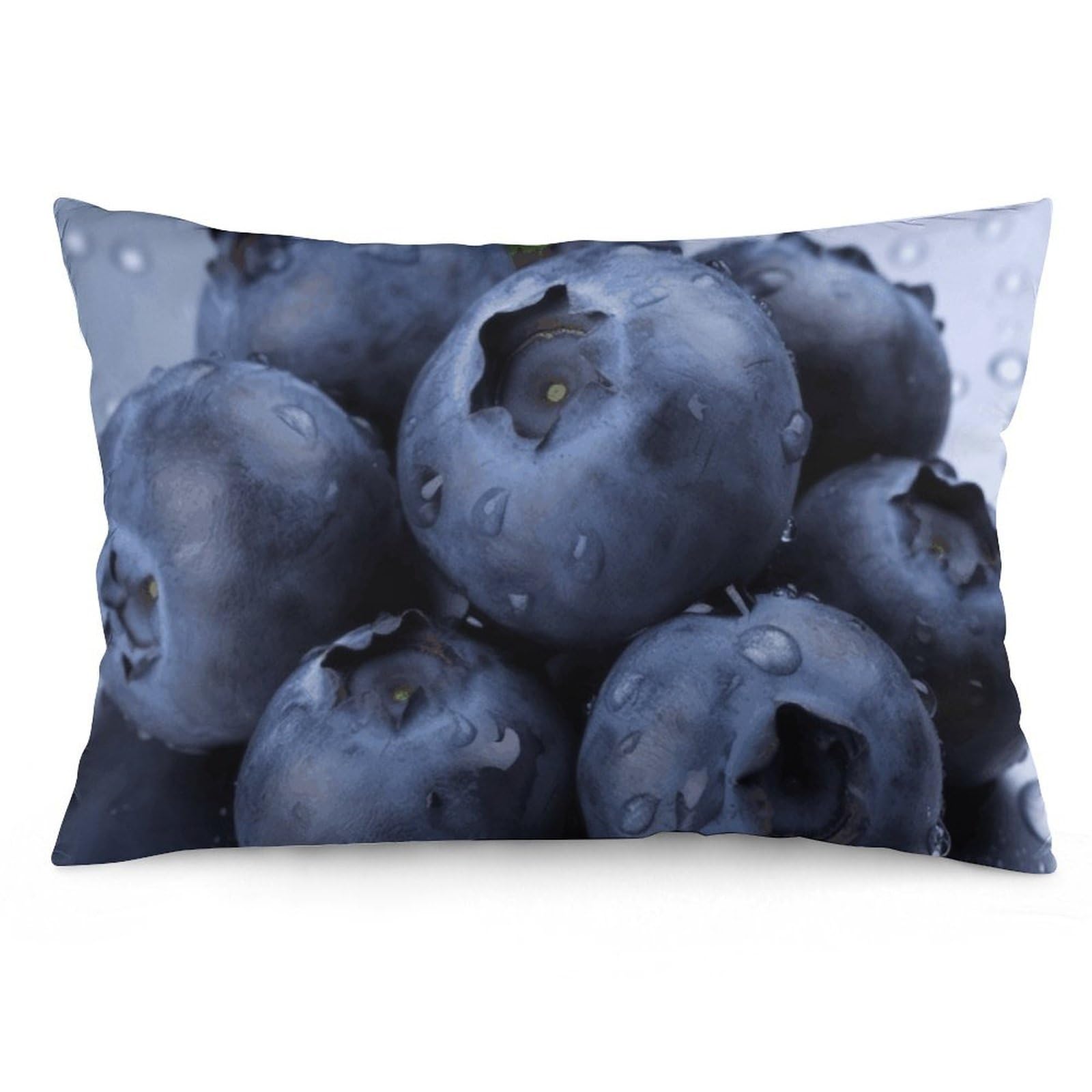 NTVOWPZO 2 Pack Decoration Throw Pillow Covers 12 "x20 Pillowcases Covers Blueberry Pillowcases Modern Farmhouse Home Decor Sofa Cushions Covers for Couch Bed Living Room