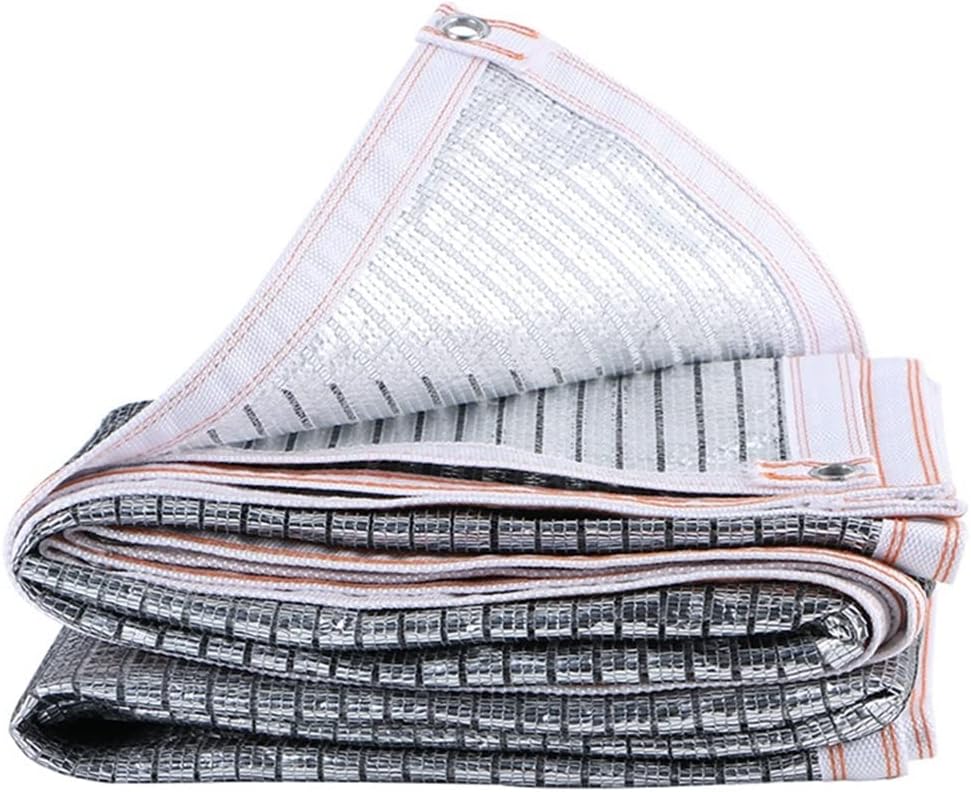 油絵「水面の樹」田中将寛作 （額装済み） コレクション