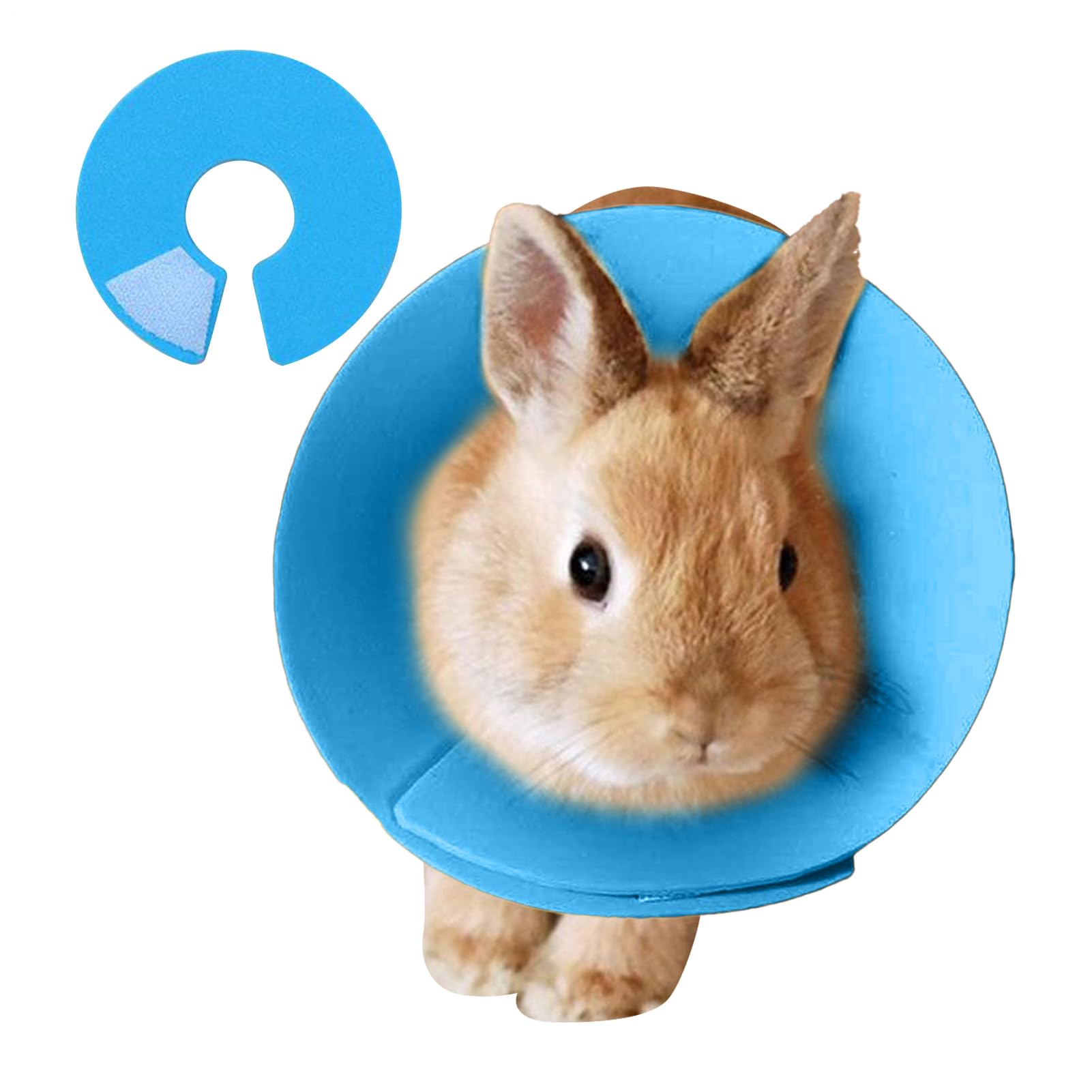 Collier Collier pour Animaux de Compagnie, Anti-Léchage Doux pour Hamster Récupération, Protection Contre Les Griffures pour Lapin Perroquet Furet au Quotidien pour Petits Animaux