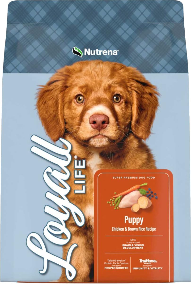 Premium Dry Puppy Food