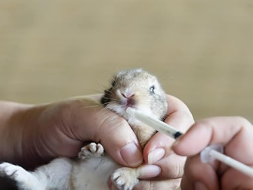 Vista 14 de 100 jeringas de plástico sin aguja de 0.0 fl oz y 1 cc para mascotas oral, rellenar, aplicar aceite o pegamento, medir o transferir pequeñas