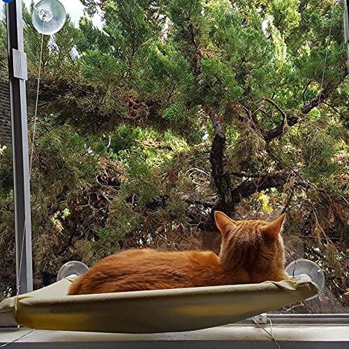 PETPAWJOY Cat Bed, Cat Window Perch Window Seat Suction Cups Space Saving Cat Hammock Pet Resting Seat Safety Cat Shelves - Providing All Around 360° Sunbath for Cats Weighted up to 30lb