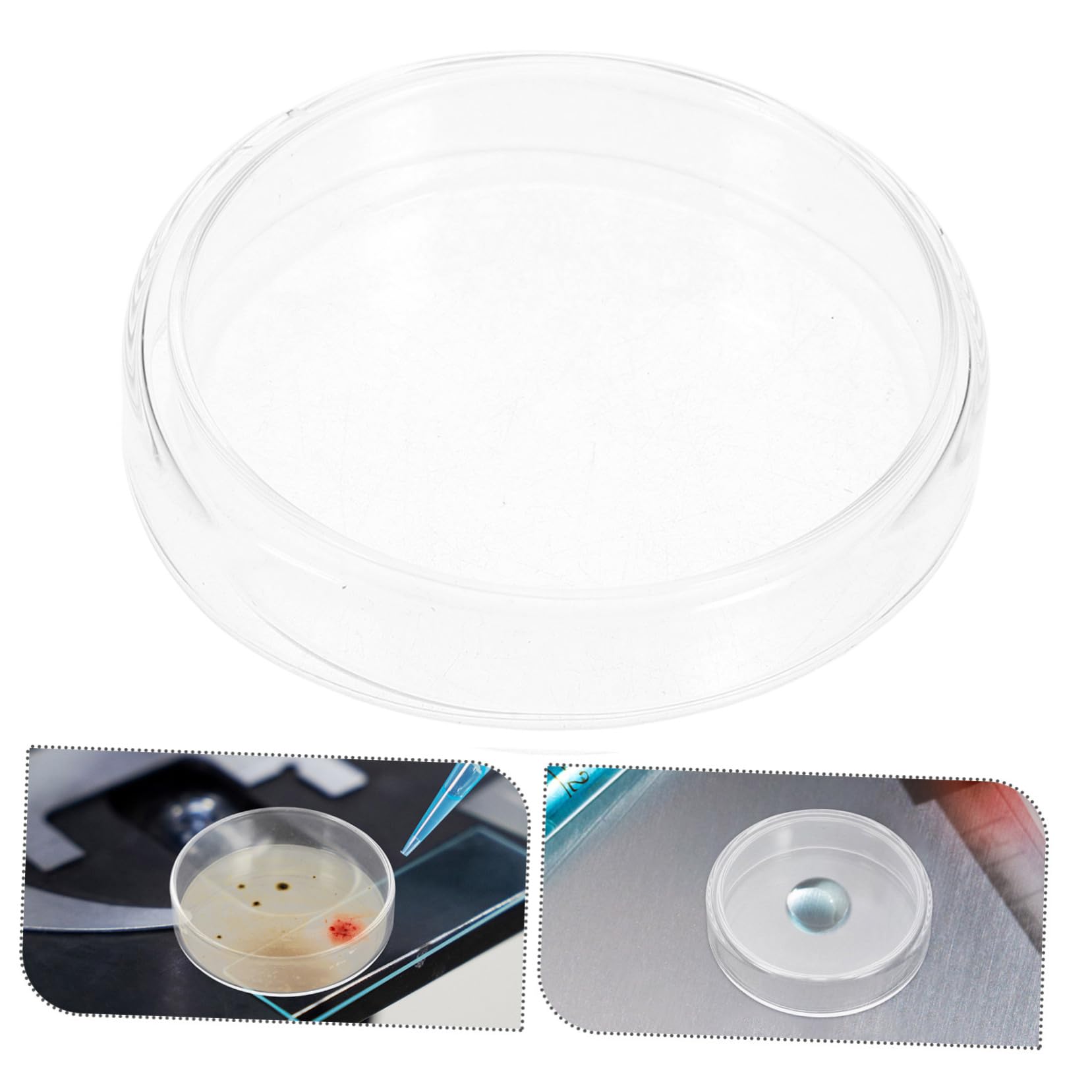 Cabilock 10piezas Placas de Petri de Vidrio para Cultivos Microscópicos y Observaciones Accesorios de Laboratorio para Experimentos Científicos y Microbiológicos