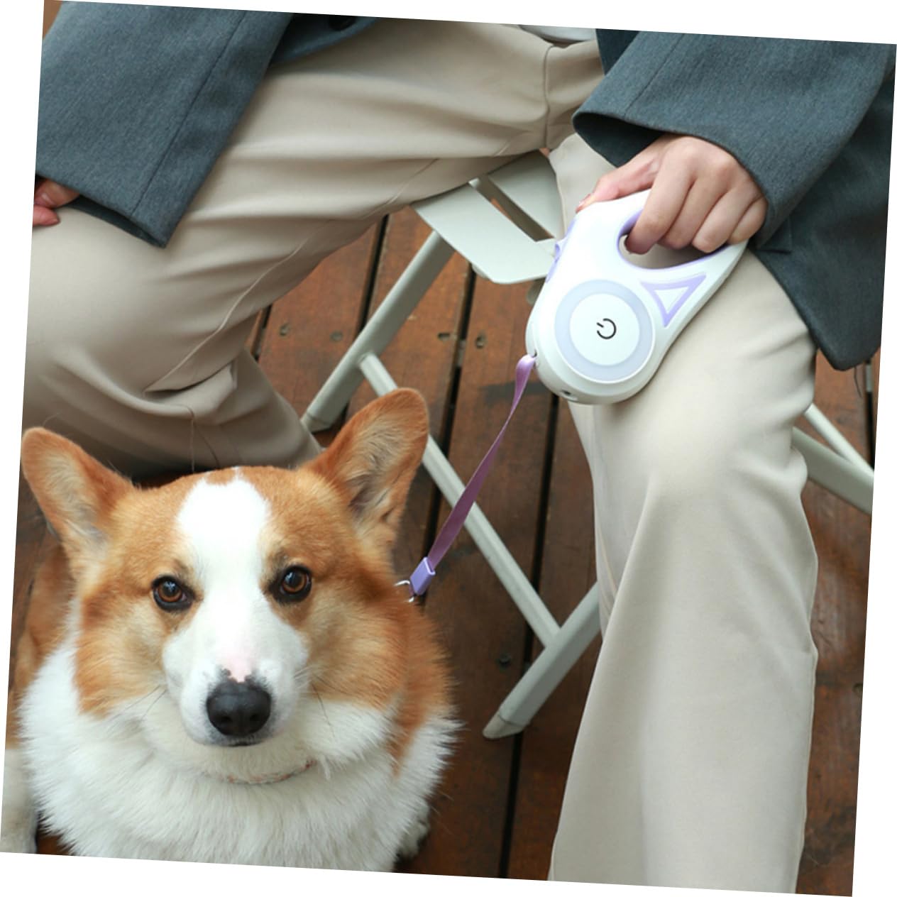 Happyyami Correa para Mascotas Perro retráctil Correa retráctil para Perros Correa de Perro pequeña Perro Extra Correa para pasear Perros cinturón para Mascotas Nylon Púrpura