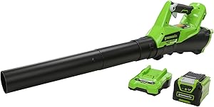 Soffiatore Foglie Greenworks G40ABK2 a Batteria 40V