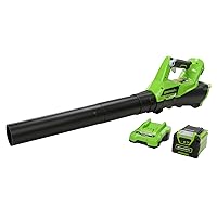 Greenworks G40ABK2 Souffleur à Batterie Axial de Feuilles Mortes Sans Fil