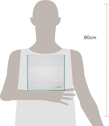 Miniatura 2 de LANDEN - Acuario hecho de cristal con bajo contenido de óxido ferroso, de 7.8 pulgadas de ancho x 7.8 pulgadas de profundidad x 7.8 pulgadas de