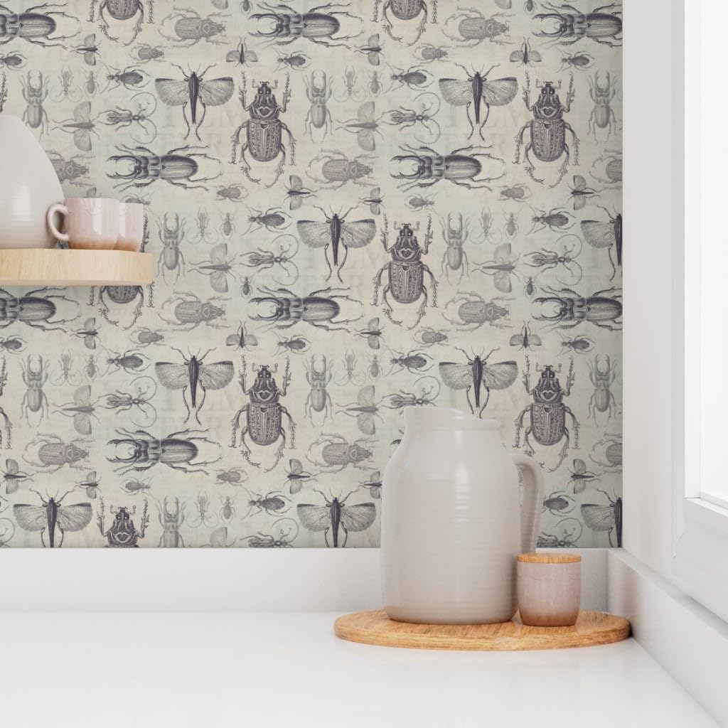 Peel & Stick Wallpaper 9ft x 2ft - Vintage Bugs Brown Retro Khaki Tan Bug Insect Entomology Science Custom Removable Wallpaper by Spoonflower