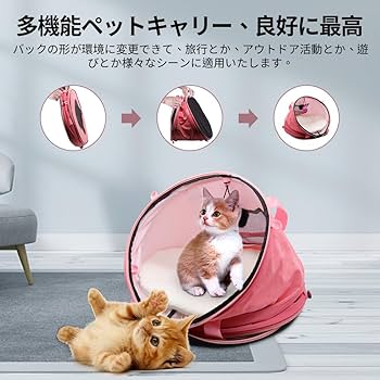籠　ペットキャリー　小動物　猫 楽天市場】猫 キャリー バッグ ペットキャリーバッグ 猫