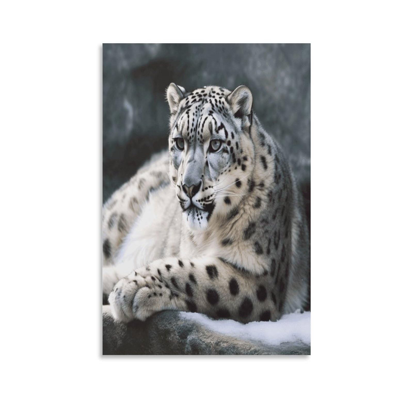 VstaDank Snow Leopard Canvas Wall Art on Canvas Prints Artwork Exquisite Decor Artwork Hang Wall Picture Hangable Decor Painting Picture Printed Poster Art for Home Decor 20x30inch(50x75cm)