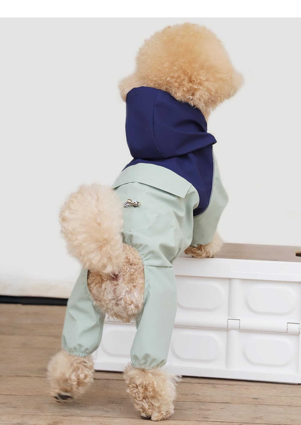 Dog Jacket Waterproof Windproof Reflective (Mint Green/Navy, M)