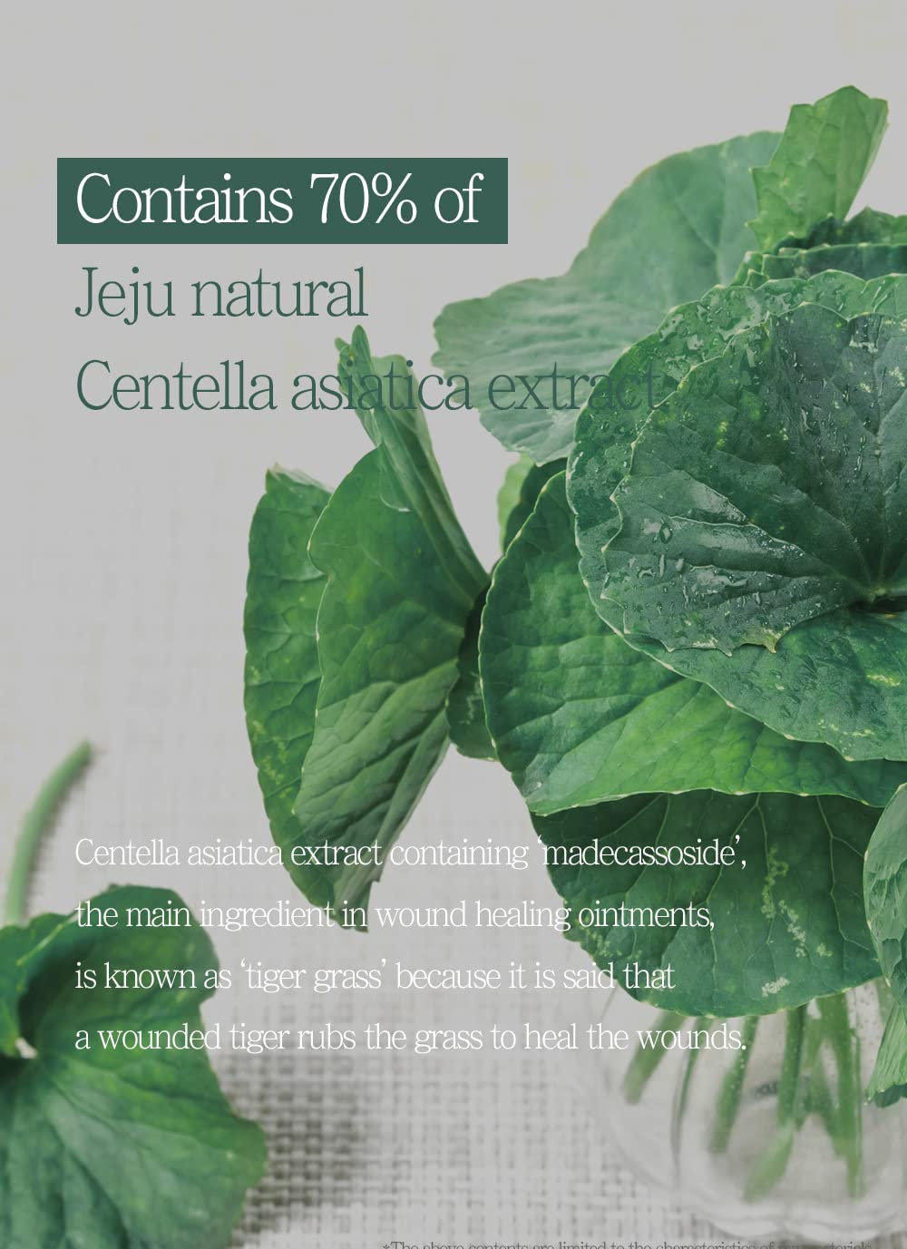 PRETTYSKIN Jeju Cica 70 Facial Cream – 70% Centella Asiatica | Lightweight & Non-Sticky Moisturizer | Ginseng + Propolis Support | Hypoallergenic for Sensitive Skin – 1.69 fl.oz. - Image 6