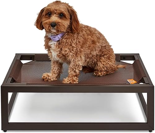 FUZI Luxury Up - Cama elevada para perros para cachorros, cama elevada para mascotas para interiores y exteriores, a prueba de mordeduras y