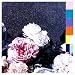 Power Corruption & Lies