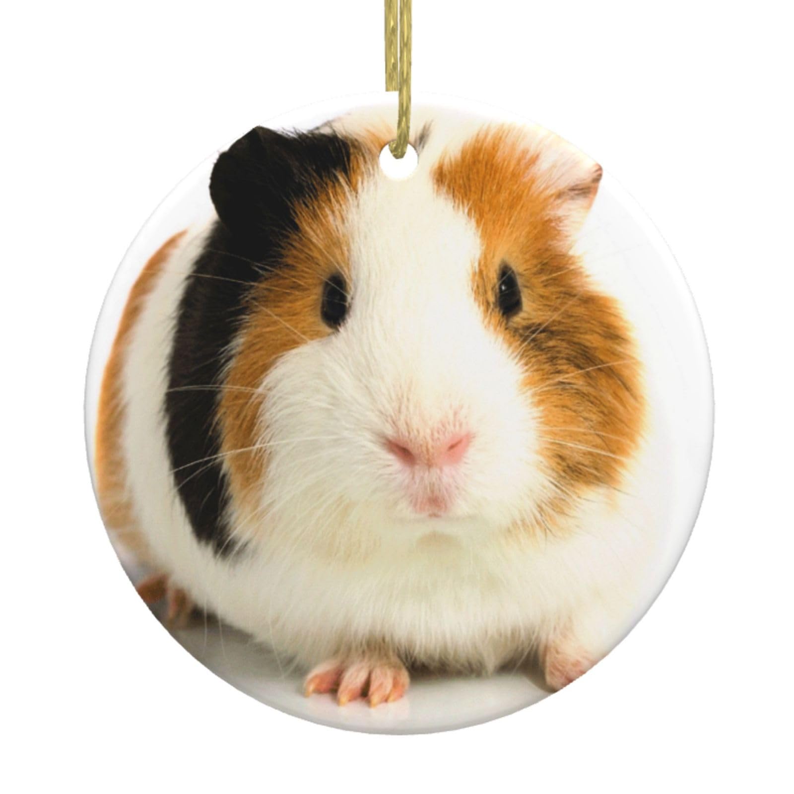 Feetox White Cute Guinea Pig Christmas Tree Ceramic Hanging Xmas Tree Decoration Bauble Round Ceramic Decorations Decorative Home Decoration