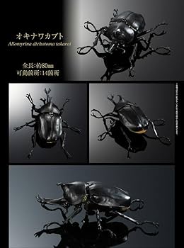 Amazon.co.jp: ガチャ 2種セット サタンオオカブト＆オキナワ