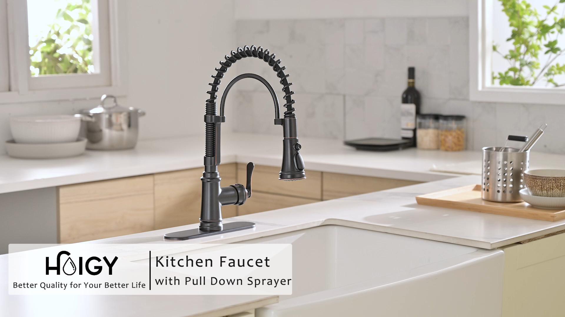 HOIGY Chrome Kitchen Sink Faucet with Sprayer, 3-Function Single