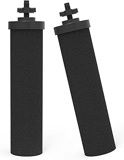 2 Pack BB9-2 Water Filter Compatible with Black Purification Elements Purifier Gravity Doulton Super Sterasyl and Traveler Nomad King Big Series