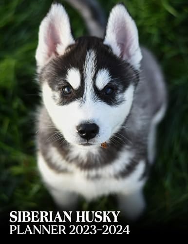 Siberian Husky Puppies Planner Calendar 2023 - 2024: Siberian Husky Puppies 2023-2024 Monthly Large Planner, 2023-2024 Planners For Women Men Dad Mom, Christmas Birthday Gifts For Student Teacher
