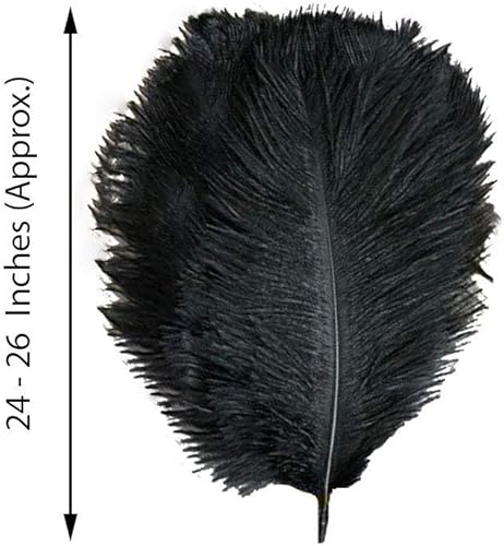 Miniatura 4 de 12 plumas de avestruz auténticas de 24 x 26 pulgadas de largo, color blanco para centros de mesa, decoración de mesa de boda, fiesta