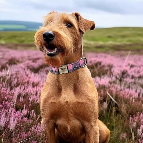 Miniatura 3 de Estabilizador antisonajero para perro y mascota, anillo de silicona sin BPA de grado alimenticio, 1 juego de 5 tamaños