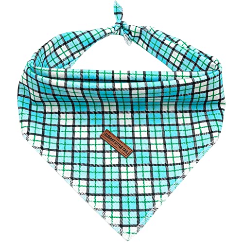 GKg ge[ po_i v~Aϋvn 1 \ pXJ[t j lp 悾ꂩ J[`[t XJ[t ߉\ ybgo_i ^^p