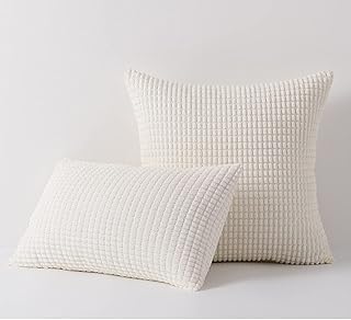 Daysskk Lot de 2 housses de coussin blanches 30 x 50 cm en velours côtelé 30 x 50 cm avec fermeture éclair cachée