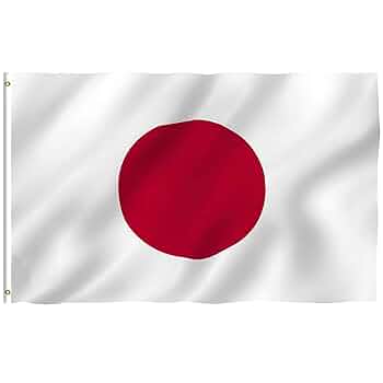 Amazon.co.jp: 日本の国旗 日本の旗 日の丸国旗 中号 90×60cm