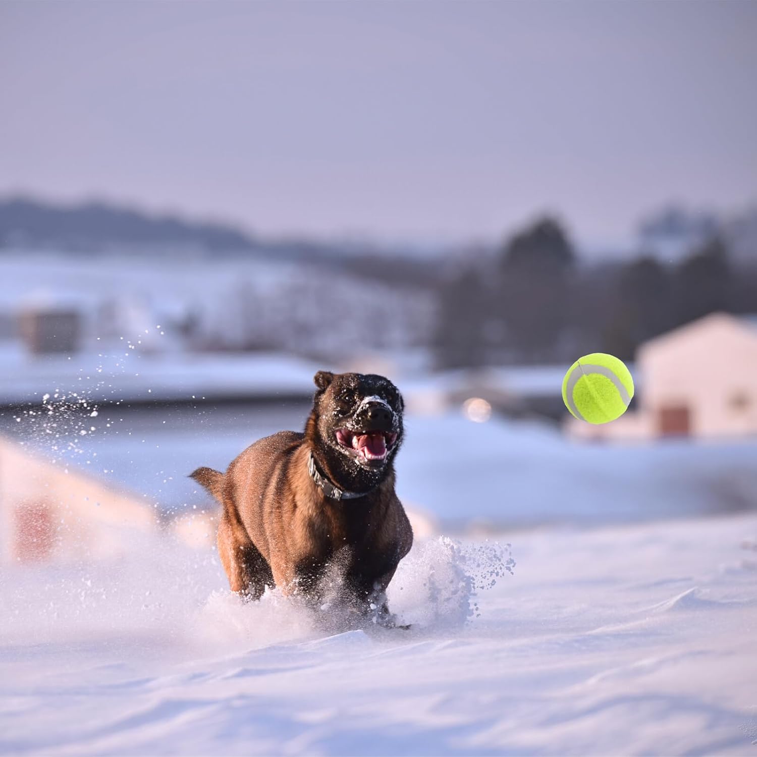 22pcs Elastic Rubber Tennis Balls Dog Interactive Squeaky Play Balls Sturdy Chew Training Exercise for Small Medium Large Dogs