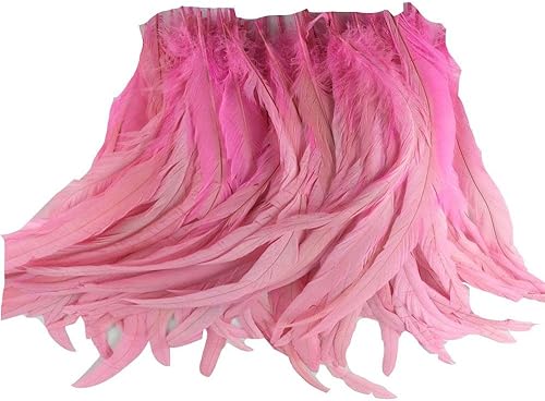 Miniatura 9 de Nature Rooster Coque Tails Feathers - Decoración de manualidades de 12-14 pulgadas, paquete de 25 unidades (azul)