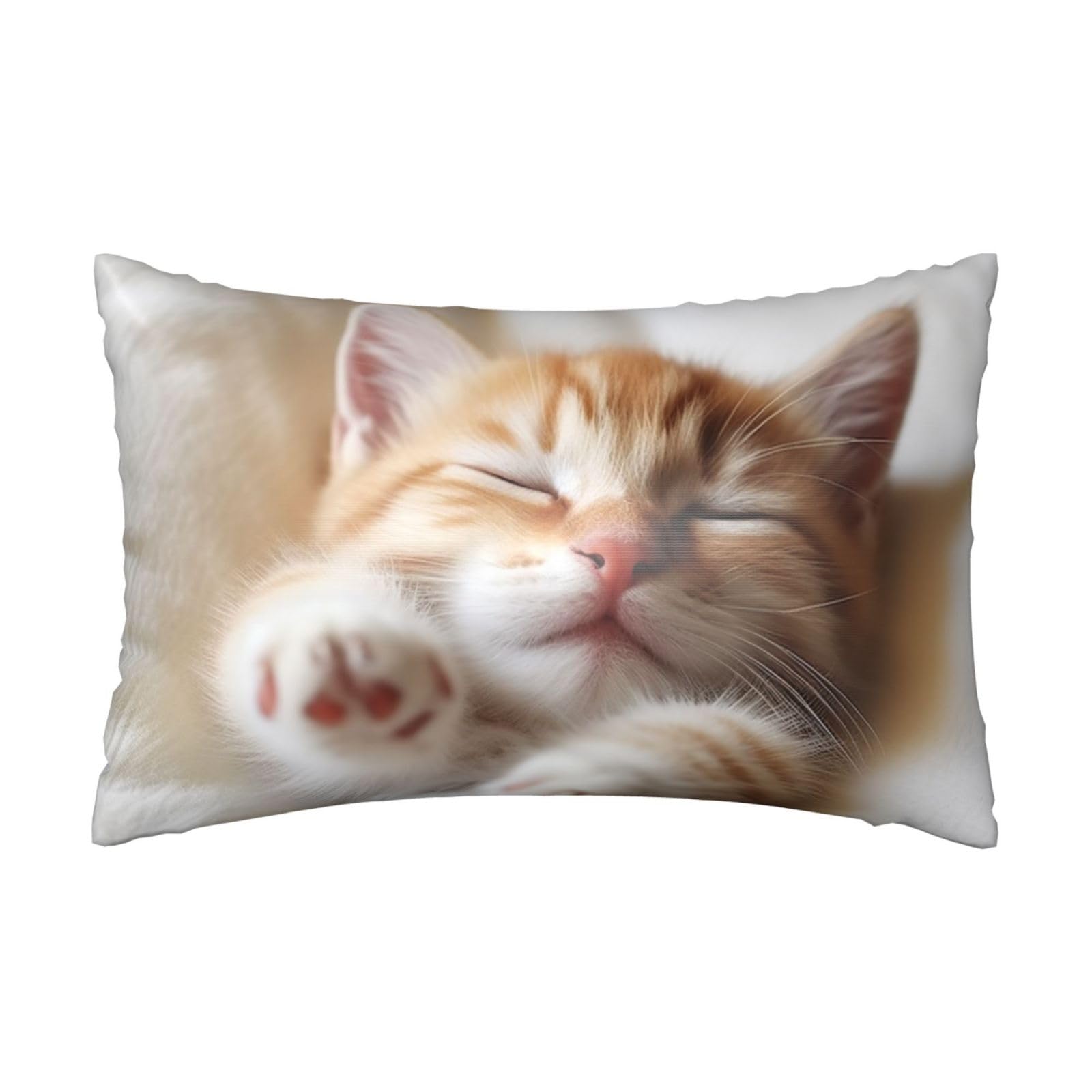 Satin Pillowcase for Hair and Skin, Kitten Sleeps Pillow Case Queen Size 20x30 Inches, Cooling Silky Pillowcases with Zipper Ultra Smooth and Soft Pillow Cover for Sleeping