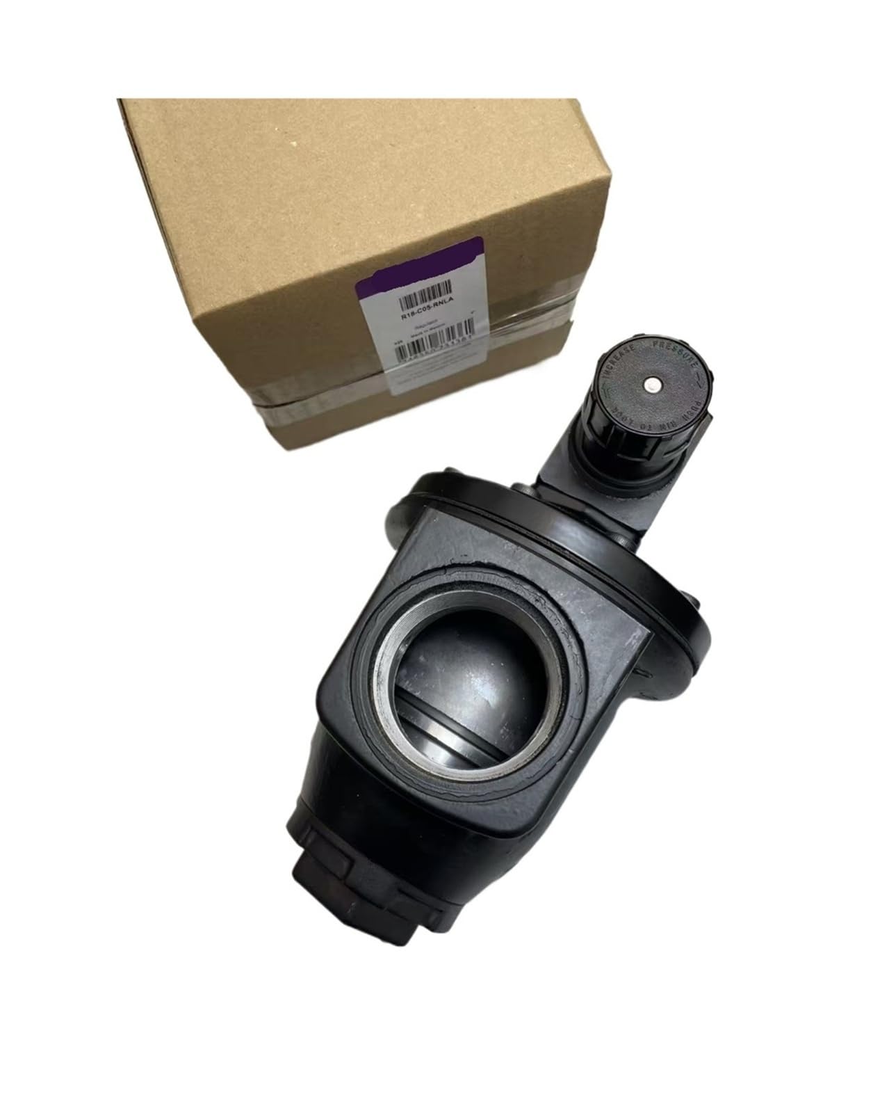 JABSDOIBAOUBD Réducteur de Pression R18-C05-RNLA 2" Filetage PTF | Contrôle précis de la pression de l'air, construction métallique durable, installation facile.