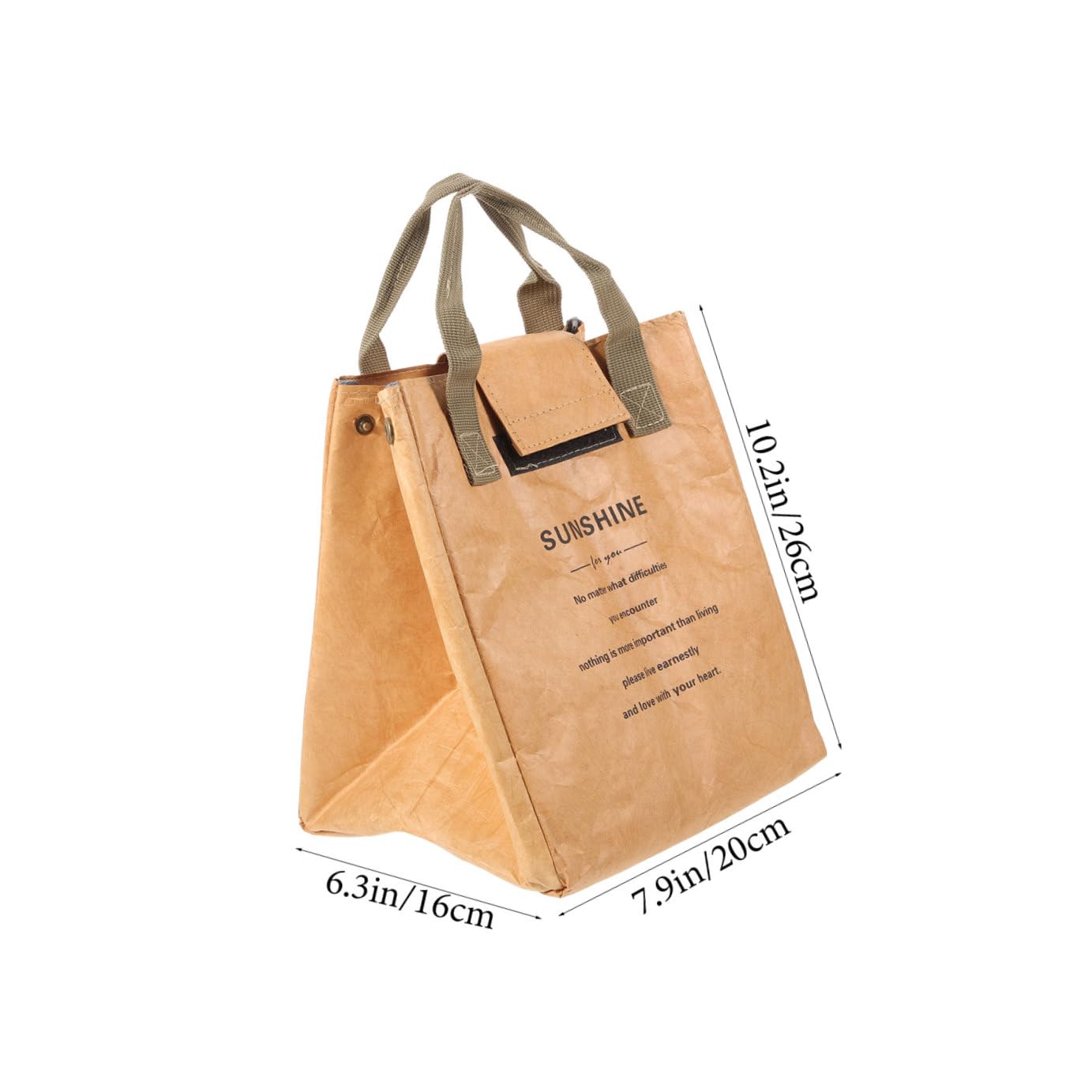 TOPBATHY 5 Teilige Box Bang Papiertüte Eisbeutel Snack Behälter Snack Und Plattenbehälter Für Lebensmittel Bento Lunch Beutel Snack Behälter Hellbraune Tragetasche Bento Beutel Für