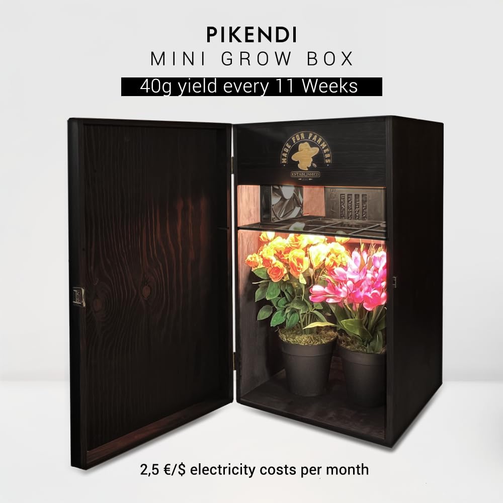 Bonsanto Pikendi Premium Schwarz Mini Grow Box, Komplett Set mit leisem Aktivkohlefilter & 35 W LED, Handgefertigter Holzschrank, Kompakte, Geruchsfrei Indoor-Grow Lösung Garten