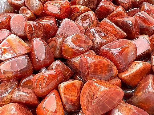 Image of GAF TREASURES 1 /2 LB Fire Agate Tumbled Stones, Polished Fire Agate Gemstone, Fire Agate Healing Crystals (Fire Agate)