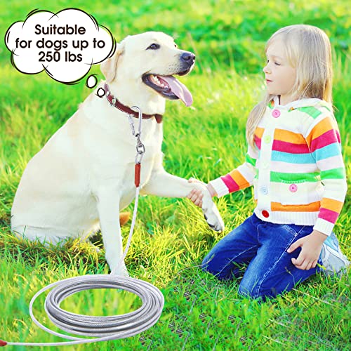 Dog Tie Out Cable for Dogs Outside Up to 250lbs,10/20/30/50/100FT Long Dog Leash&Chains,Small-Large Dogs Runner Cable for Yard,Heavy Duty Dog Lead Line for Outdoor,Camping,Yard (250lbs 100FT, Silver)