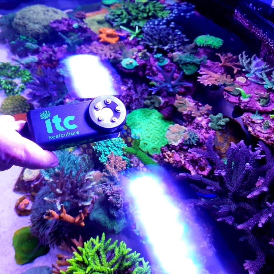 PARwise PAR-Lichtmesser, erhalten Sie perfekte Korallen- und Pflanzenwachstumsraten, Wellenlänge, Meeresriff, Aquarium