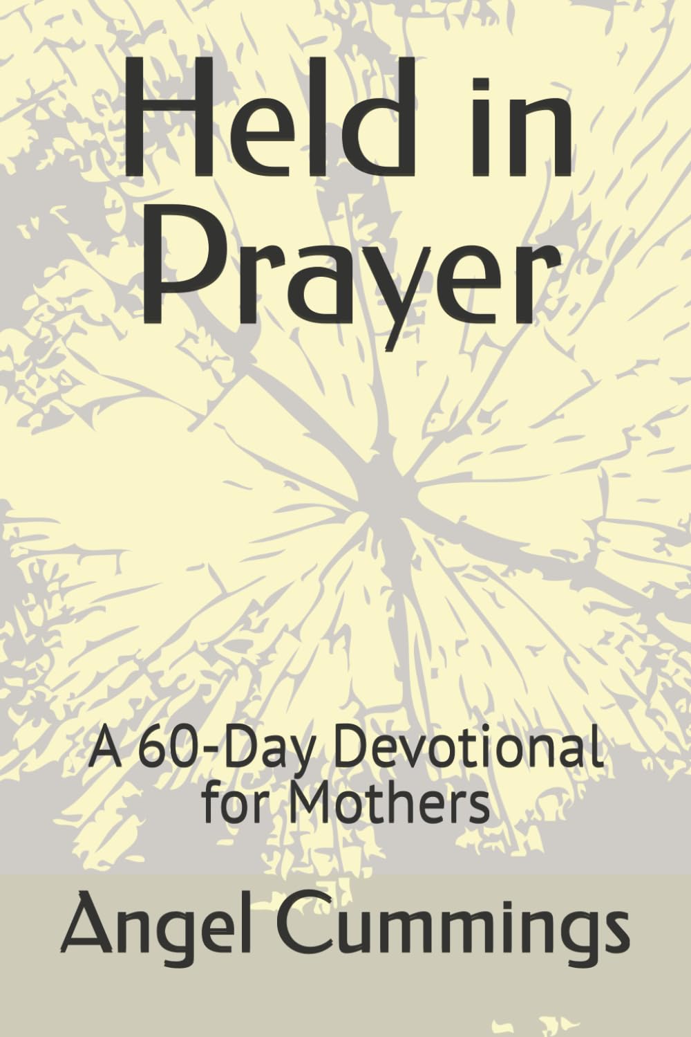 Held in Prayer: A 60-Day Devotional for Mothers