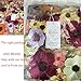 Labellezalay 3D Flowers lace Fabric, Big Flowers Embroidery Curtain,Table Cloth,Prom Dress Fabric 1 Yard,42 inches Wide