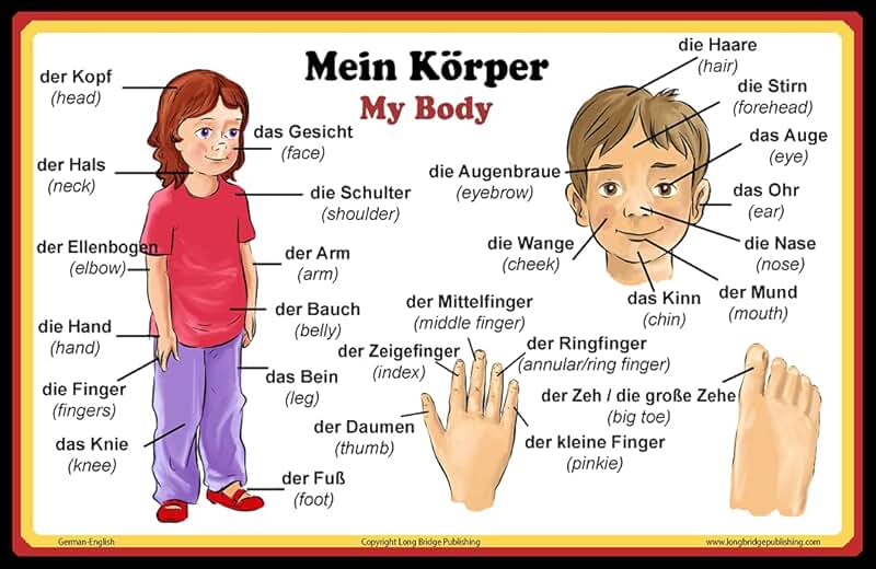 undefined Тело, Части тела, Игры и другие занятия для детей