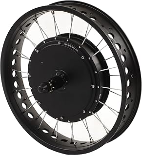 48V 1000W Rear Hub Motor, S866 Display Waterproof Thumb Accelerator Controller 20 Inch Rear Hub Motor Power Assist Sensor for Electric Bike