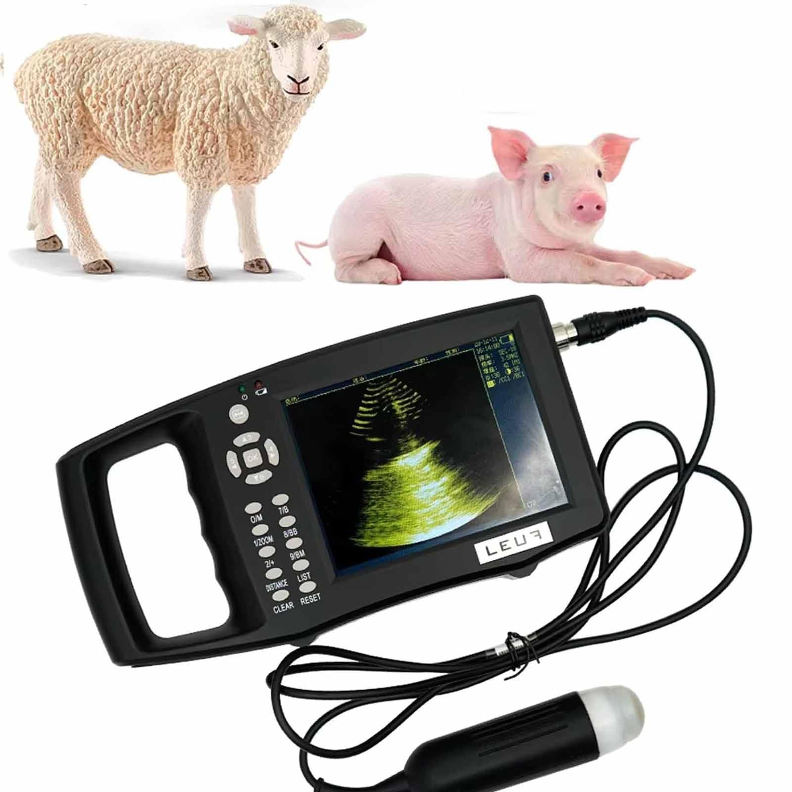 Kit D'échographie Vétérinaire échographe Scanner à Ultrasons Vétérinaire Rechargeable pour Grossesse,avec Sonde 3,5 MHz,écran Couleur Tft 5,6 Pouces,pour Détection Moutons,Cochons