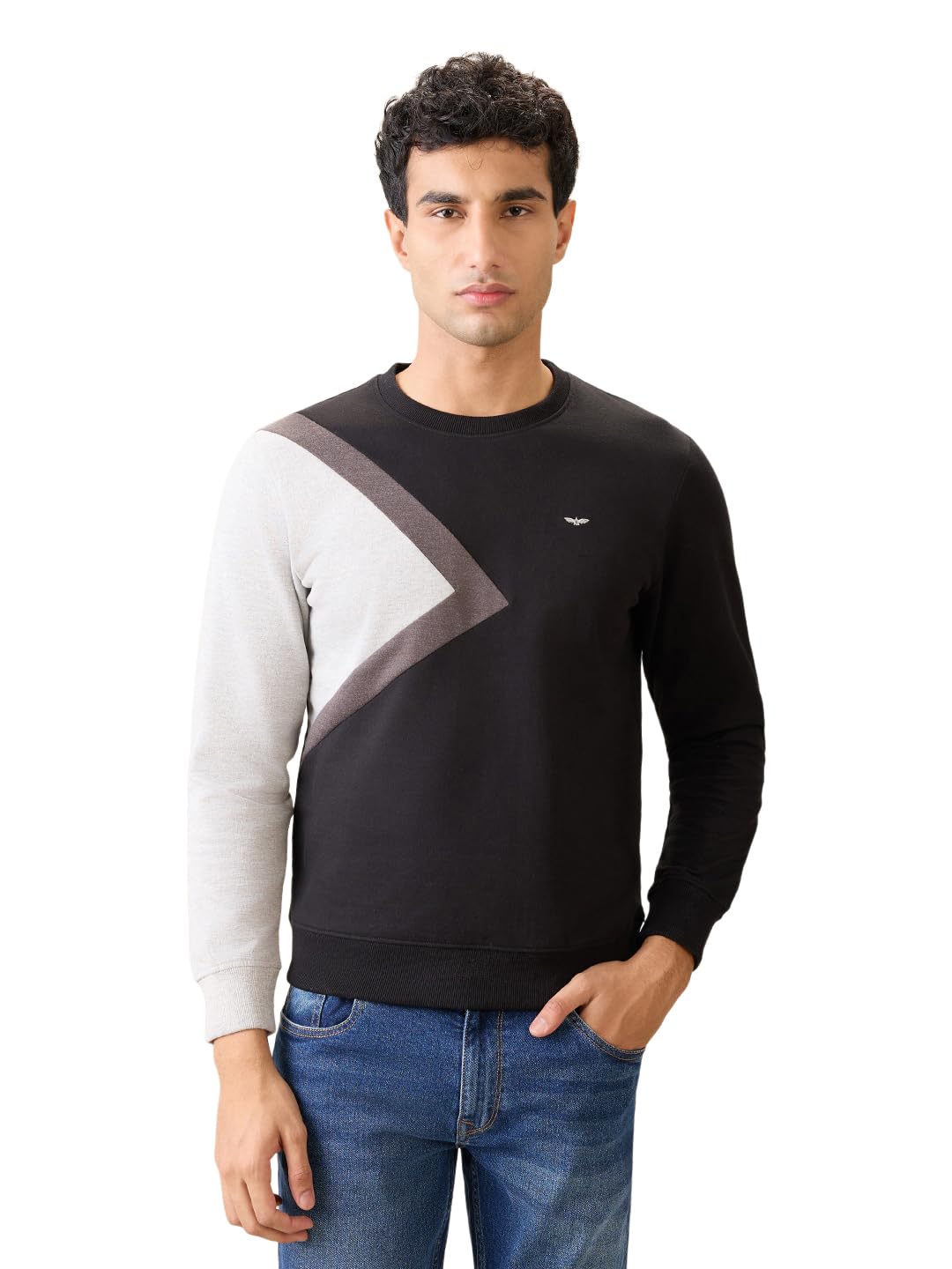 Men Full Sleeve Slim Fit Cut & Sew Pattern Cotton Polyester Blend Crew Neck Crew Neck Casual Sweatshirt-image-16