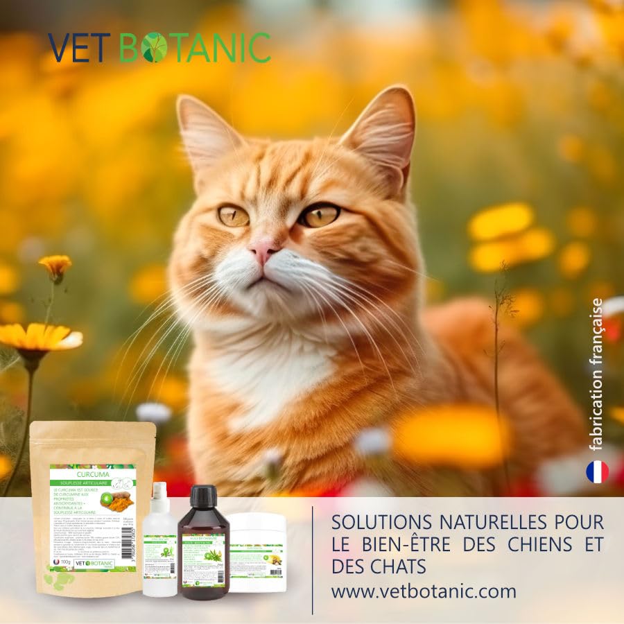 Huile de Lin Chiens et Chats, Souplesse Articulaire et Santé du Pelage, 250ml – Image 6