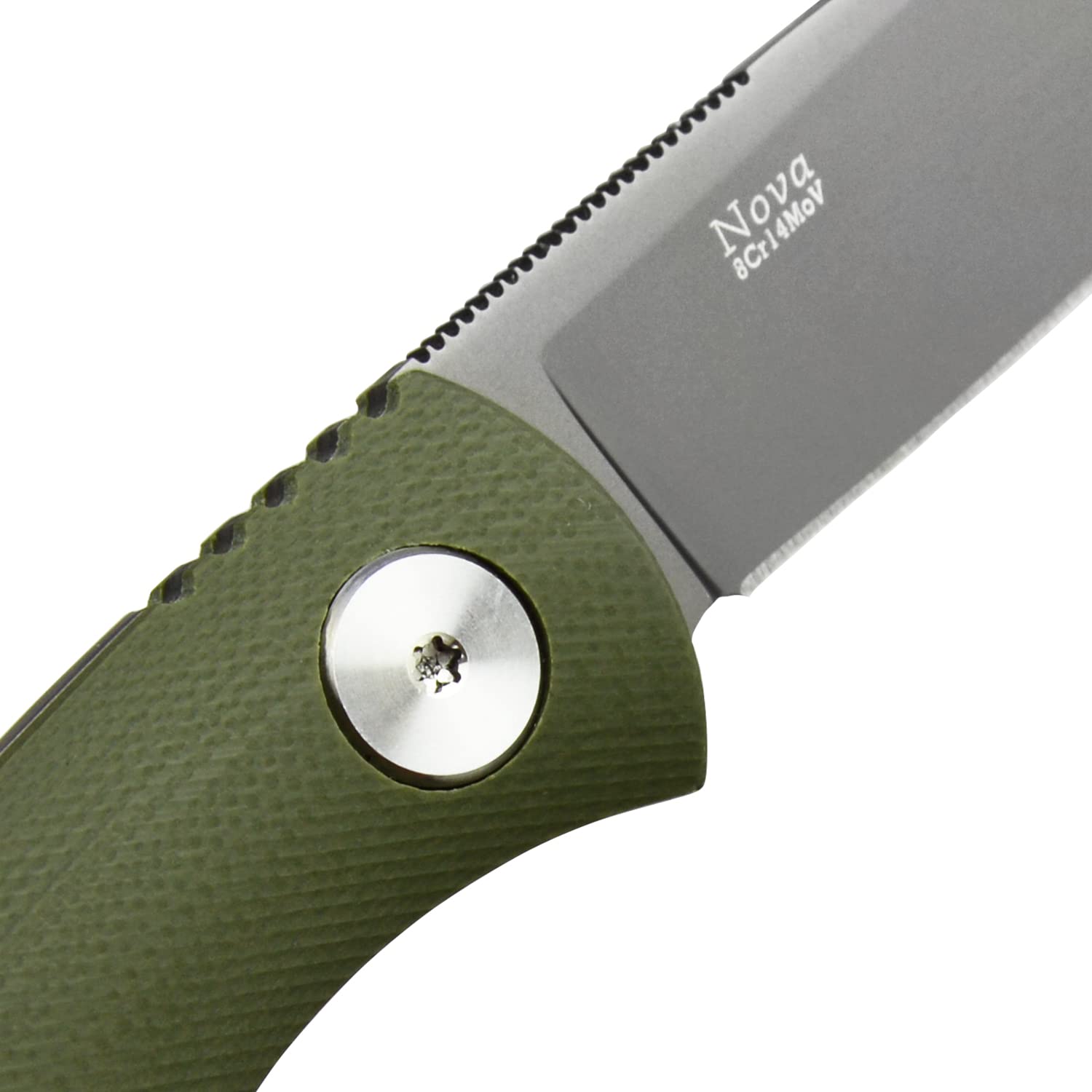 TONIFE Nova Full Tang Coltello da Caccia campeggio a Lama Fissa 6,8cm con Guaina Kydex Regolabile Facile Portabile con Cordino in Paracord per Outdoor, Sopravvivenza e Bushcraft（Verde）